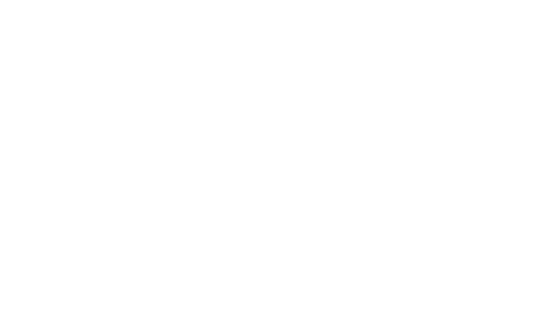Velox Detail